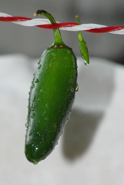 grupo diverso de personas en Chile aprendiendo sobre herramientas digitales en un espacio de trabajo luminoso