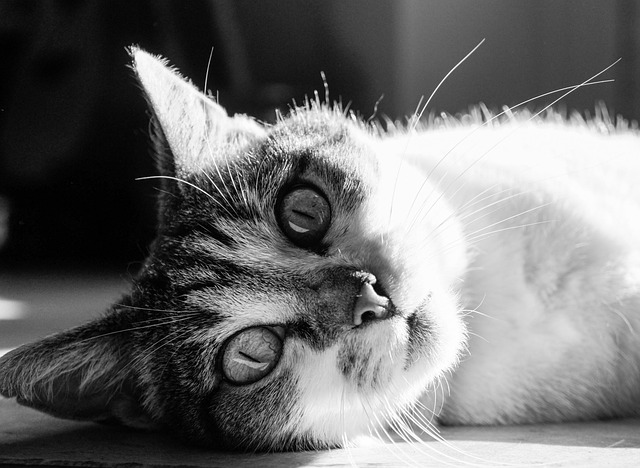 retrato profesional de Andrés Muñoz director de programa educativo de automatización en Chile